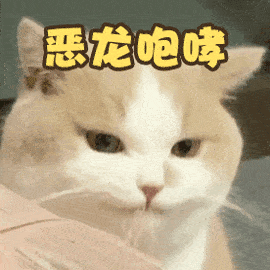 你家猫狗很可爱?咬伤你可大伤害!狂犬疫苗你打了没?