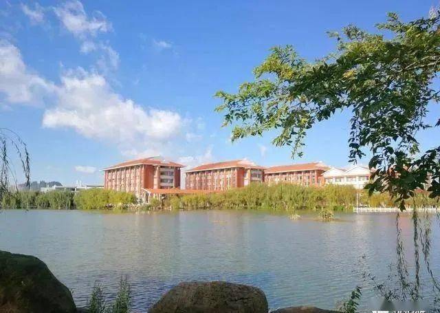 礼赞百年·民族故事‖培养民族干部的摇篮——云南民族学院的成立