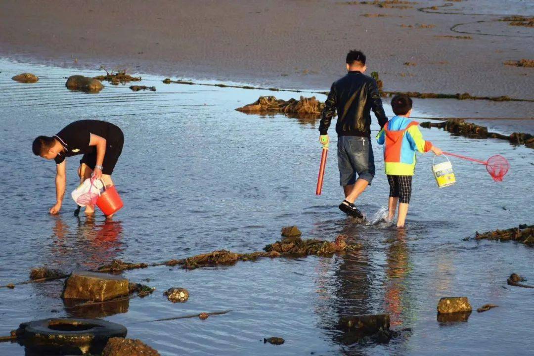 鸽子窝公园附近  河北省 秦皇岛市 北戴河东山鸽赤路 在鸽子窝公园