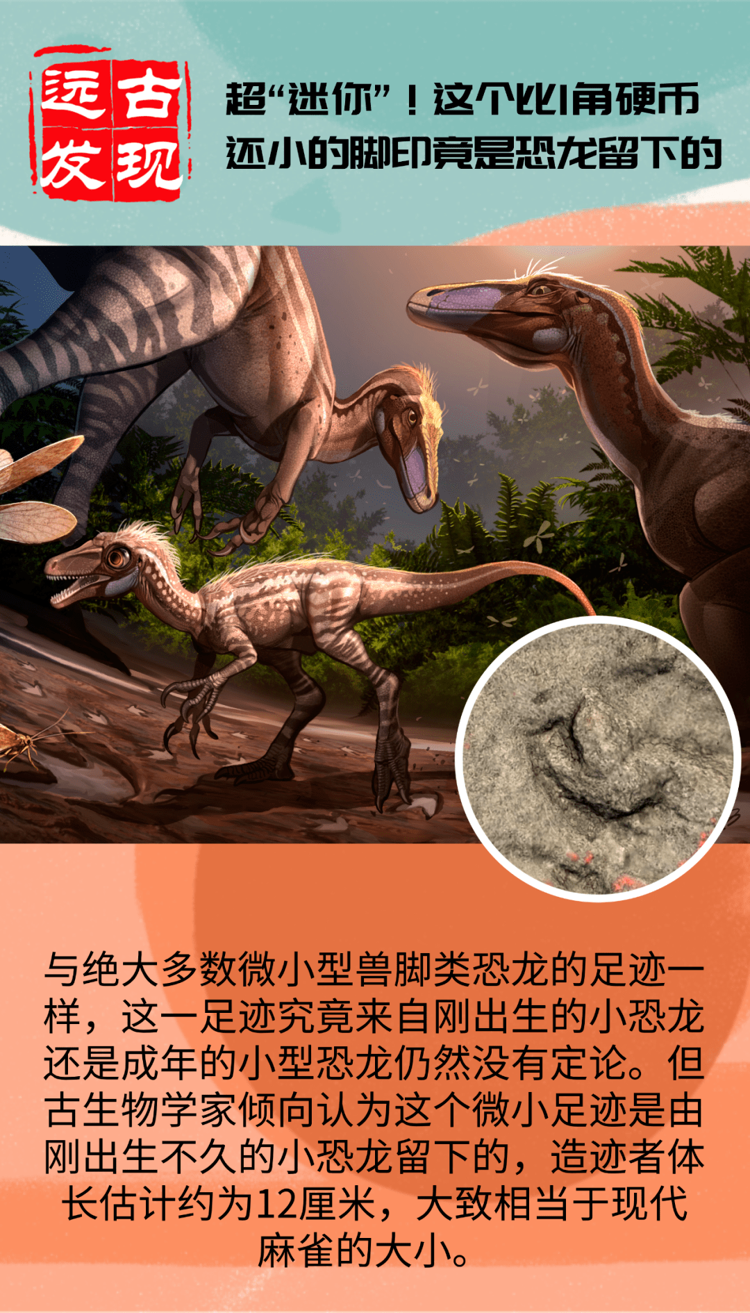 恐龙|这么小的脚印，竟是恐龙留下的？！
