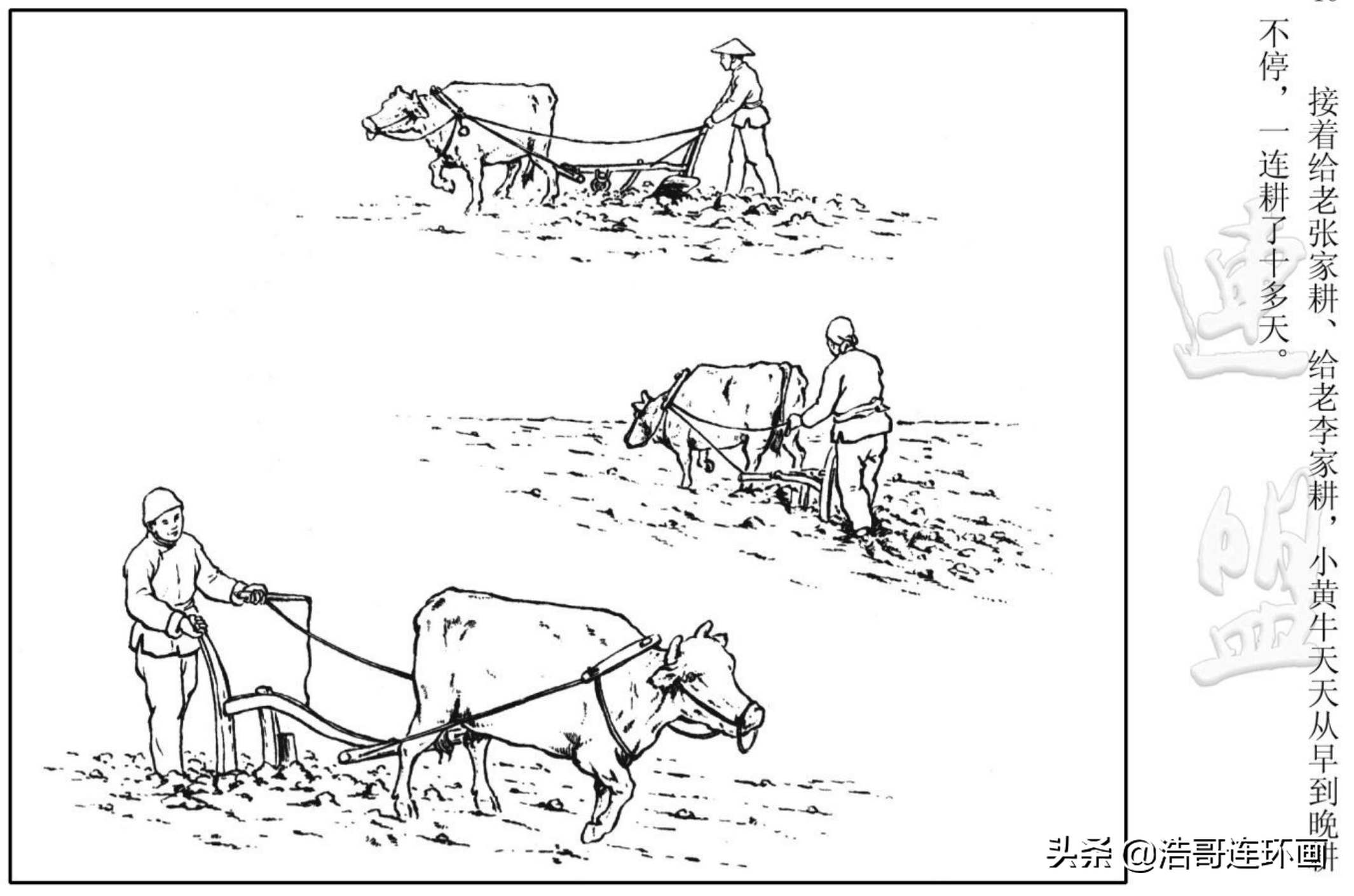 连环画《小黄牛》