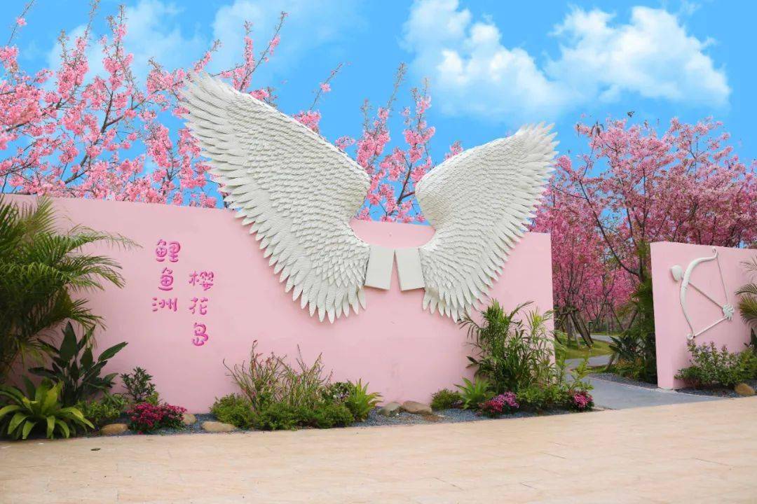 鲤鱼洲·樱花岛