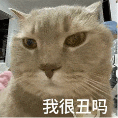 我找个表情包回你