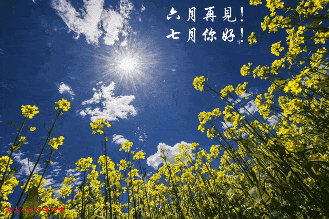 藏头小诗/七月你好,六月再见