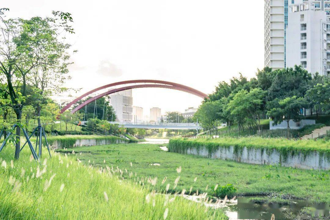 深圳的「塞纳河」,重新开放_大沙河