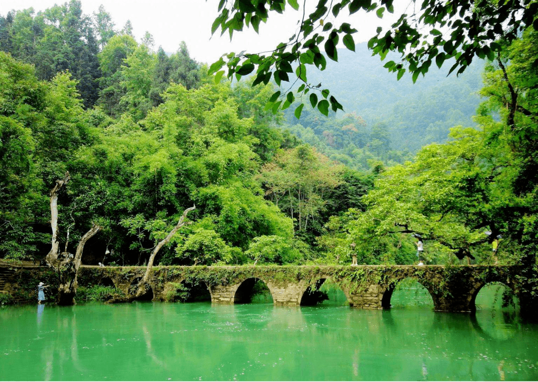 的绿宝石喀斯特林带,世界自然遗产地—贵州南部的荔波樟江风景名胜区