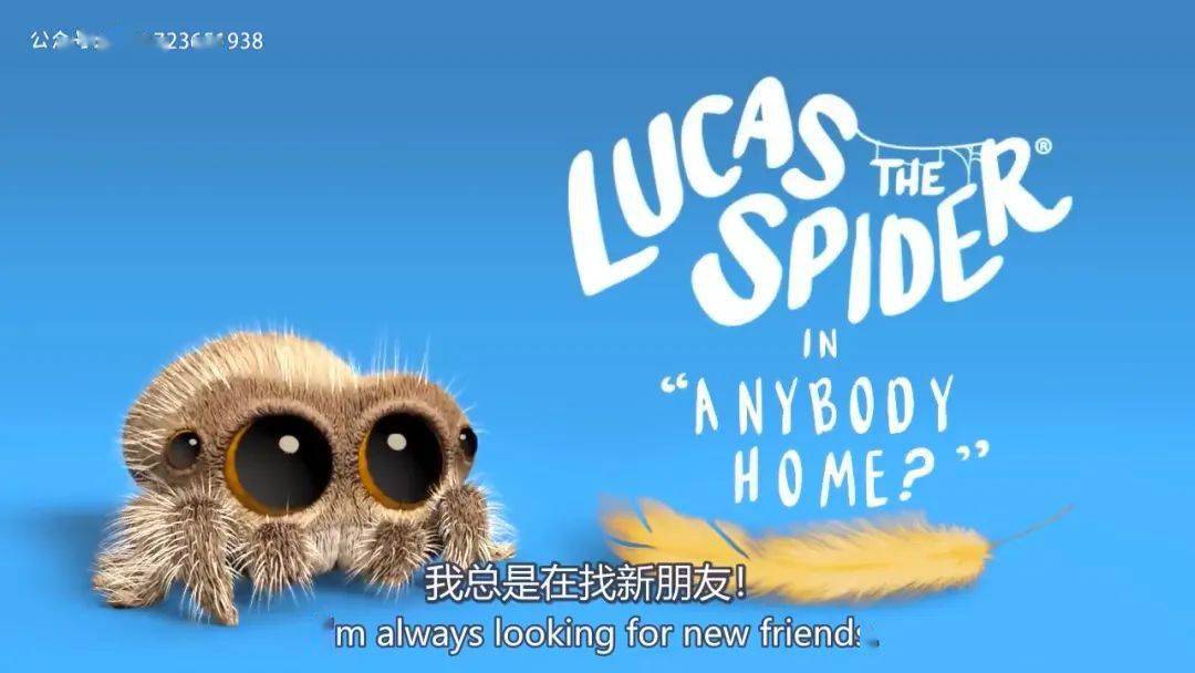 完结 小蜘蛛卢卡斯《lucas the spider》24个英文动画视频