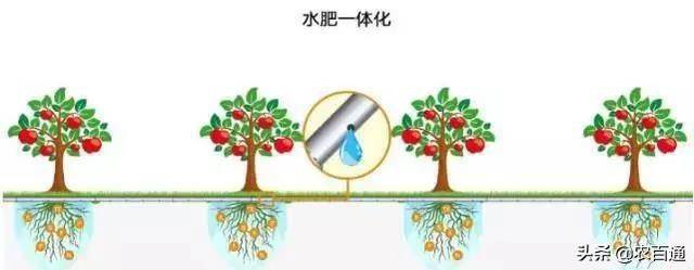 水肥一体化的5种技术模式