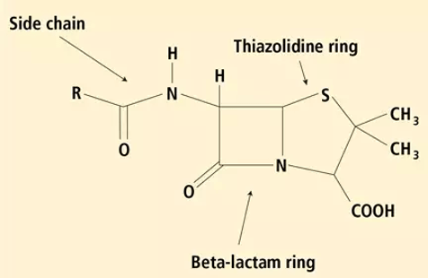 青霉素的分子结构
