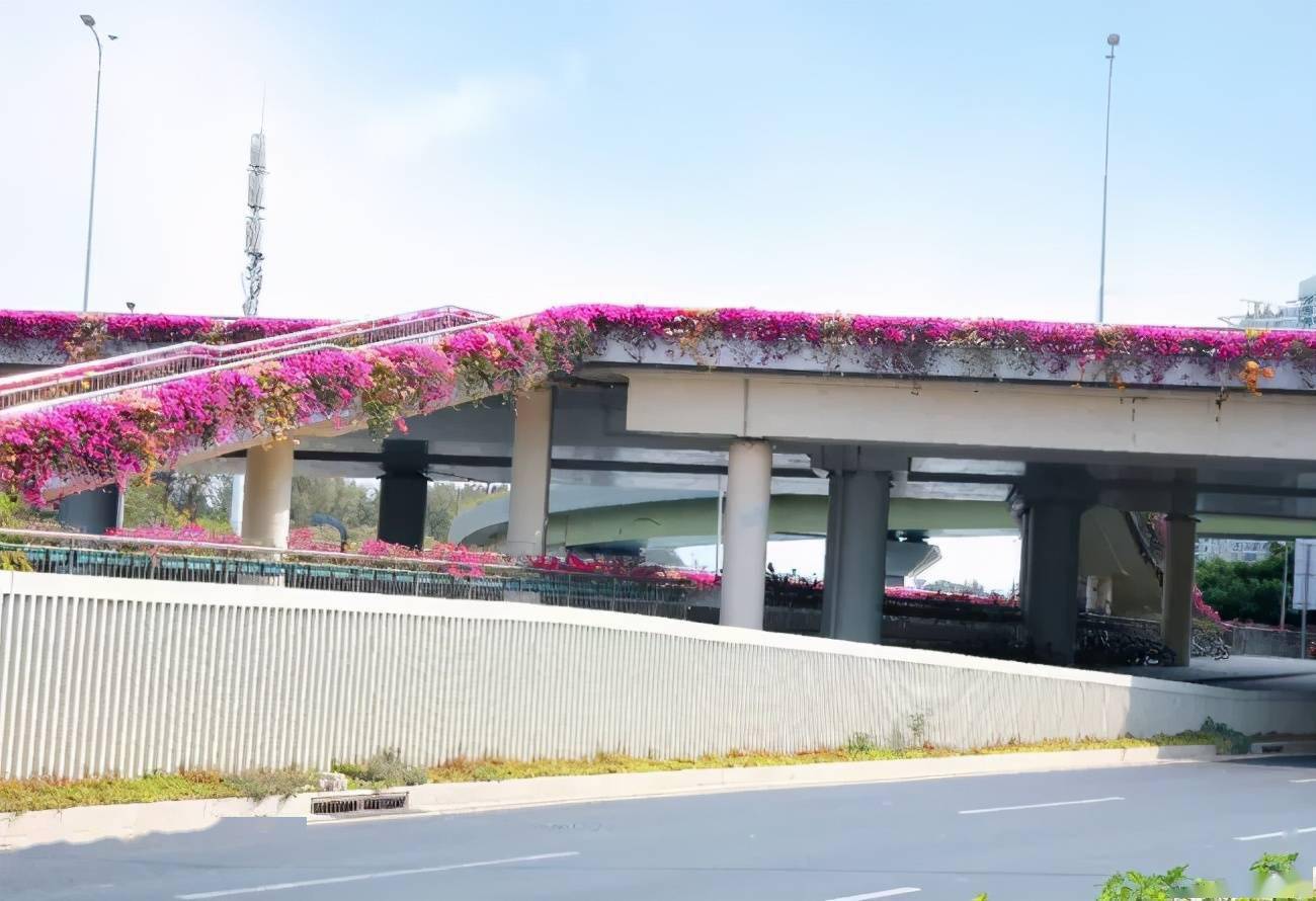 在此次道路装饰设计上,中央分隔带,防撞墙,防撞护栏,花槽外挂板,桥梁