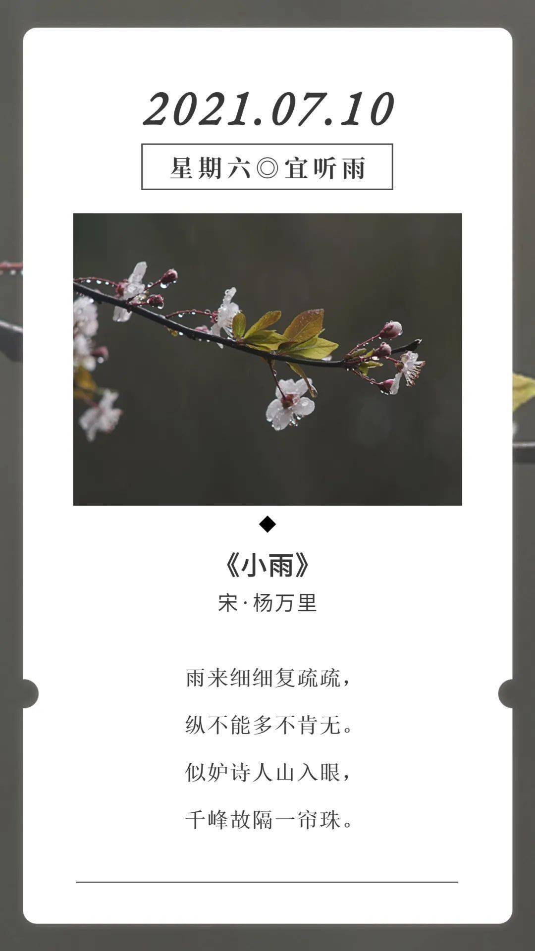 古诗词日历杨万里小雨赏析