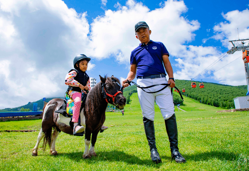 让孩子们闯入充满新奇的动物世界,解锁 矮马小骑士巡游 山地动物乐园