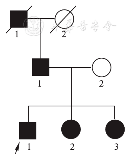 【论著】sftpc基因p.k114n新发突变致儿童间质性肺疾病一家系分析