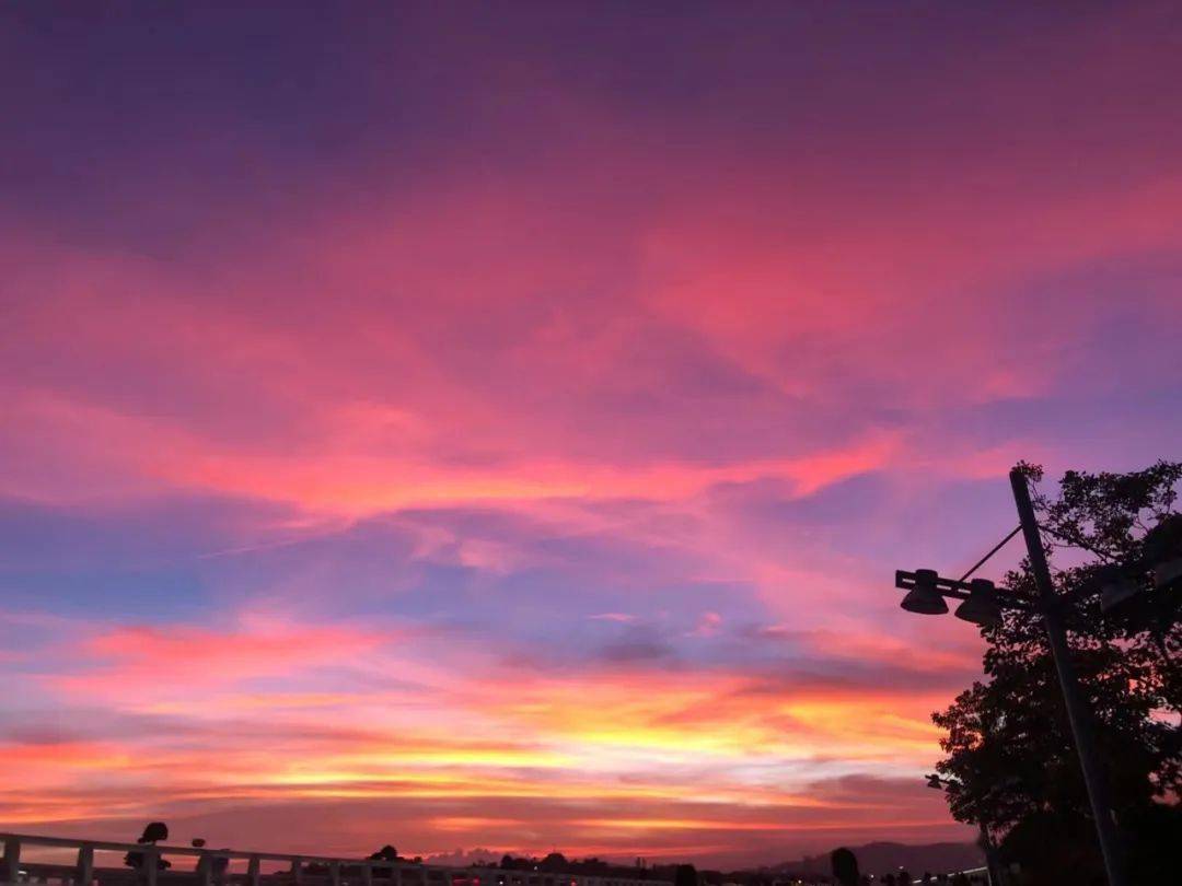 昨天傍晚! 夕阳西下 泉州上空迎来了爆美的粉紫色的晚霞 刷爆朋友圈!