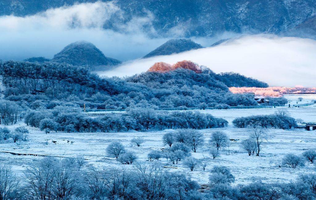 大九湖湿地晨曦盎然.(来源:视觉中国)