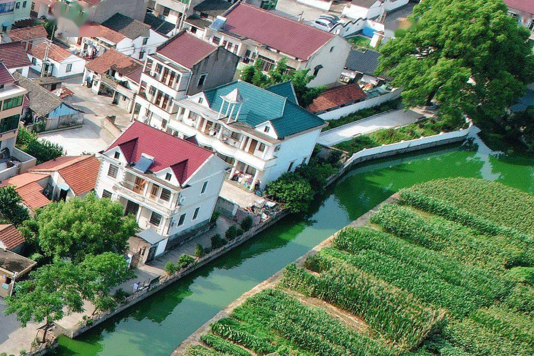 洗去初夏浮躁,走进沥海"朋友圈"_东村