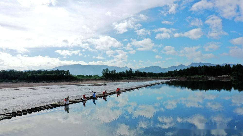 每日一景浙江仙居夏日戏水