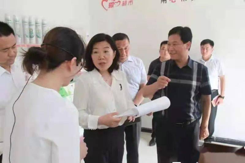 张晓彬到仲村镇,武台镇调研
