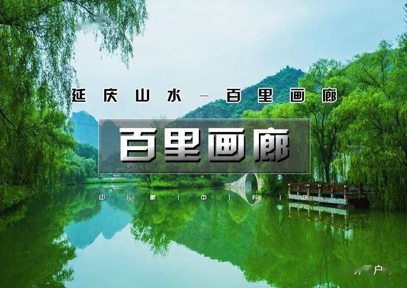 今天,我们一起走在这绚丽的百里大道上 延庆山水百里画廊 北京自驾游