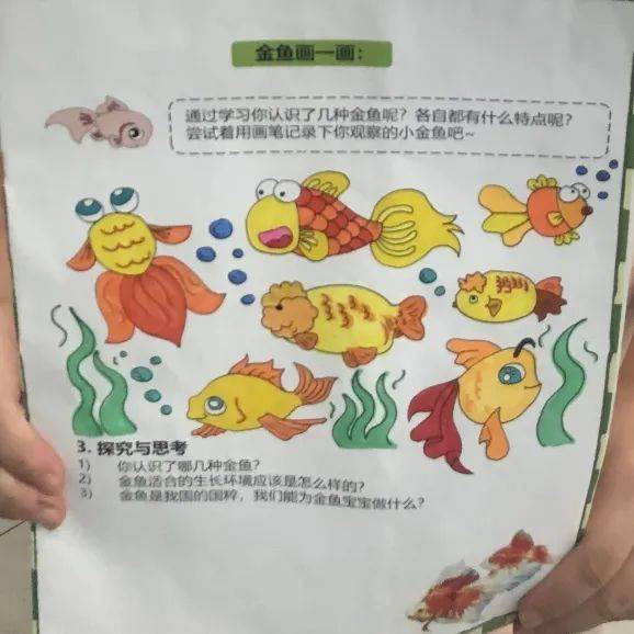 备课教案封面_幼儿园备课教案怎么写_备课教案模板