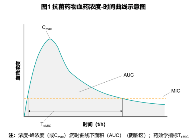 基于pkpd特点看抗菌药物的合理使用