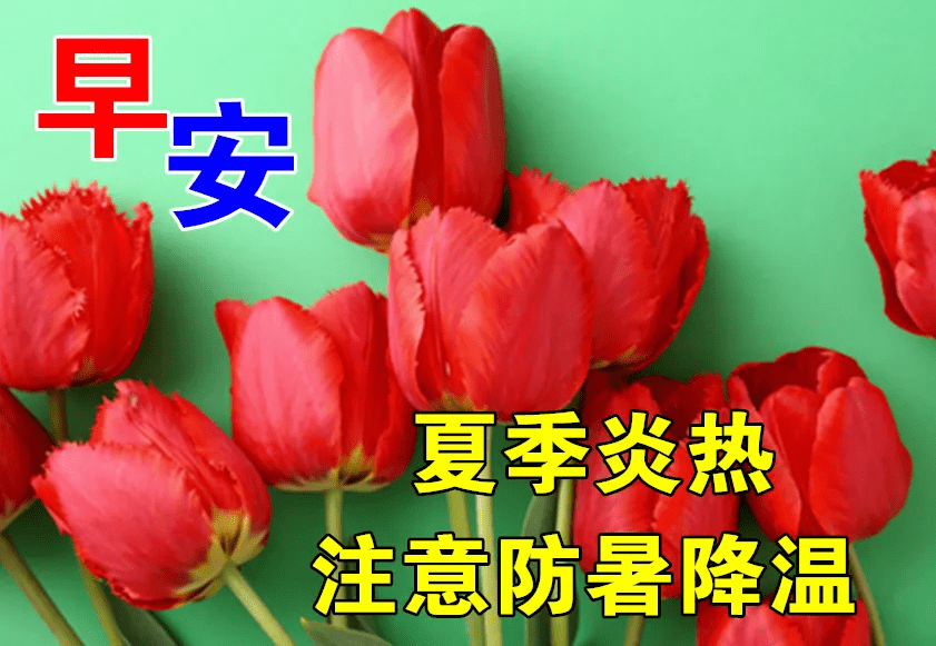 7月17日最新早上好动态表情图片大全,早上好问候语句子