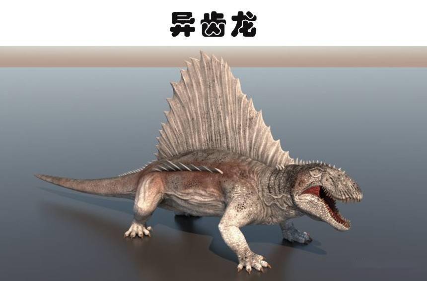 异齿龙是史前爬行动物,但经常被误认为是恐龙,不过它的确看起来像是