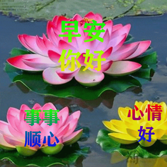 春来暑往路漫漫,心手相牵别走散, 有你陪伴我身边,友情绵长心圆满