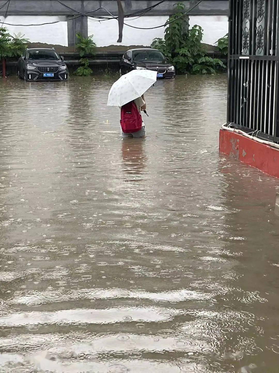 香山公园,北京植物园等景区临时关闭,开放时间将根据雨情确定(名单附