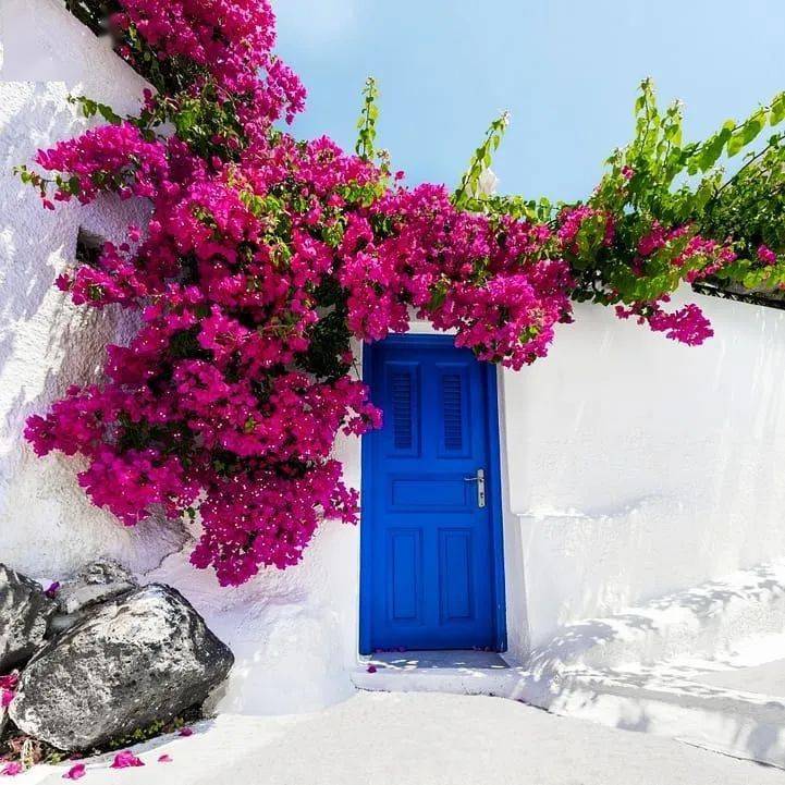 地中海风格的花园,蔚蓝色的烂漫