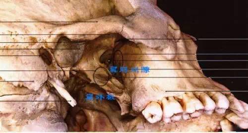 史上最透彻的各类麻醉讲解(附图谱),建议永久收藏!