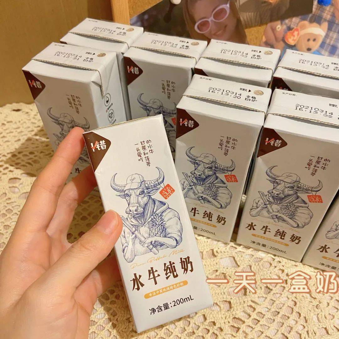 水牛产的奶更加营养健康你喝过吗