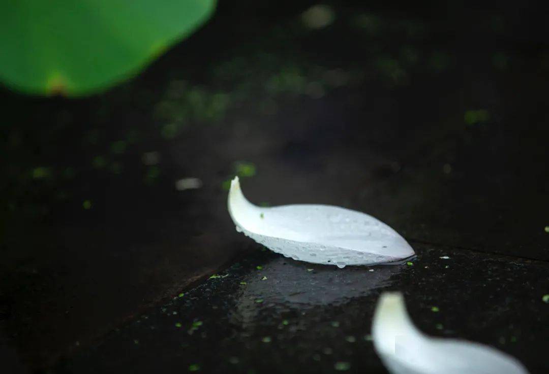 下雨天,随处都是景,怎么拍出意境?