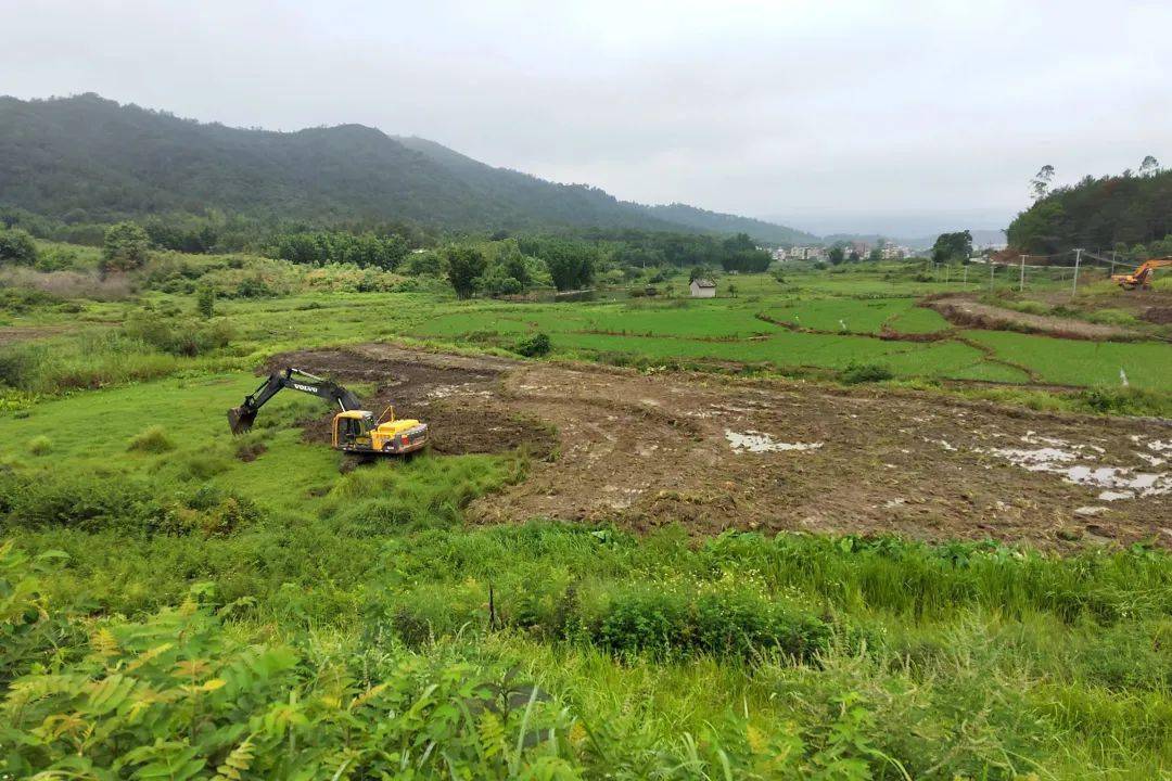 高度重视,压实责任,依法依规推进土地卫片执法整治,撂荒地复耕复种