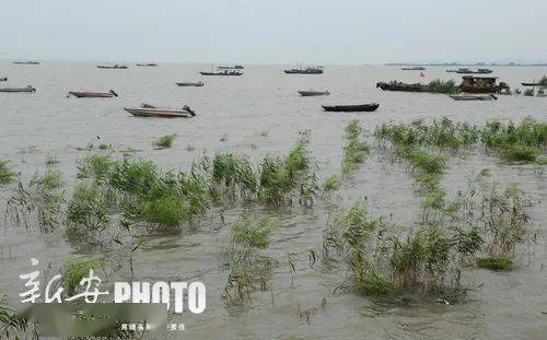 安徽这两个机场今年开工!旌德,岳西,明光…多地被点名!
