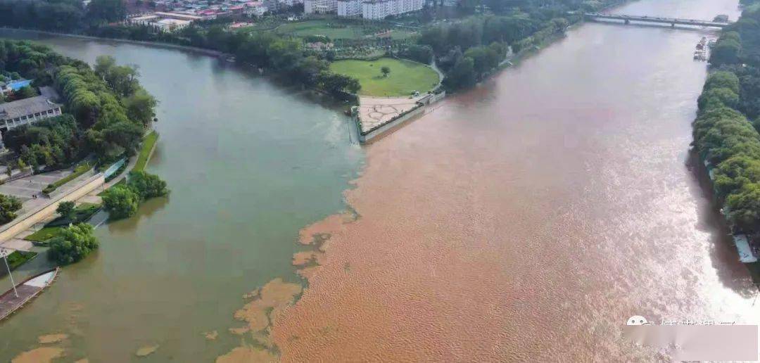 漯河沙河已拉起警戒线!颍河也正在泄洪!注意