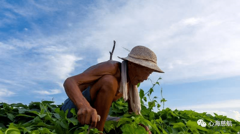 烈日下的农夫 | 周社根摄影