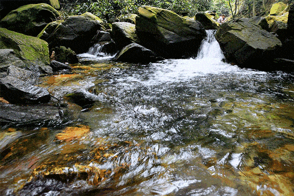 潺潺流水响,淡淡山花香.