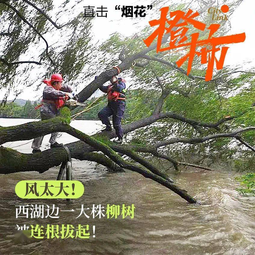 风太大!