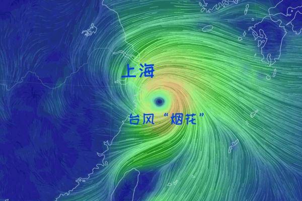 台风"烟花"已经登陆舟山普陀!上海铁路,地铁,公交有调整