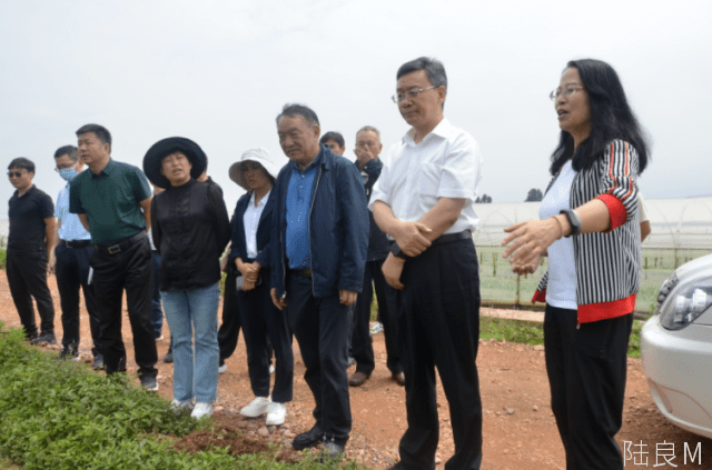 周云龙一行在云南省农业农村厅副厅长左荣贵,曲靖市农业农村局副局长