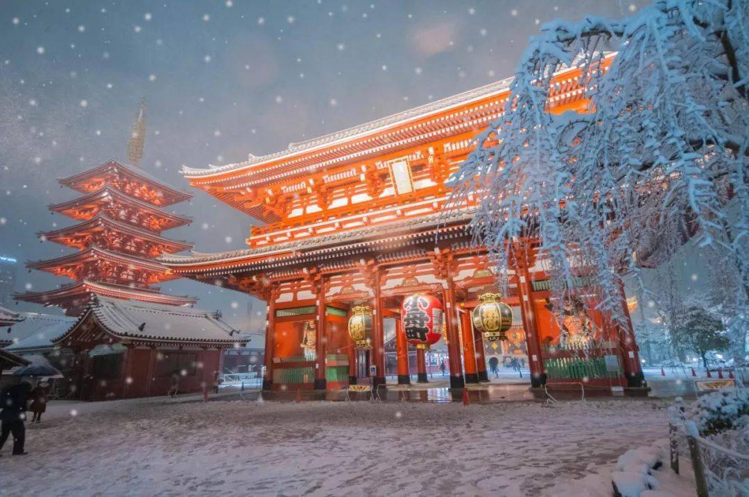 日本最美的十间神社,每一处都值得打卡