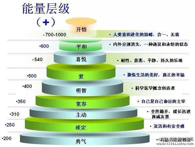 霍金斯-能量层级图