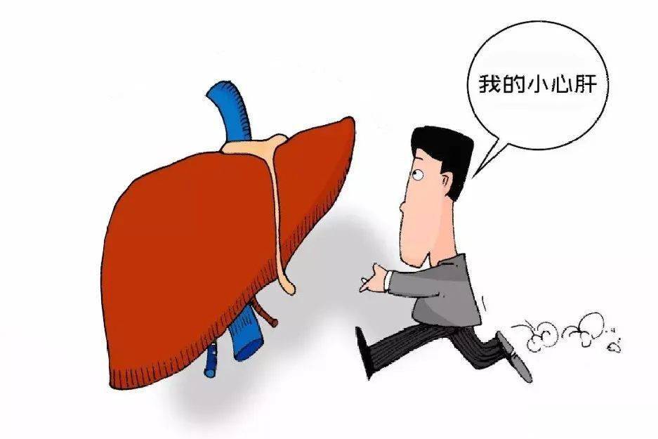 功能受损(肝性脑病,肾功能受损(肝肾综合征,肺功能受损(肝肺综合征)