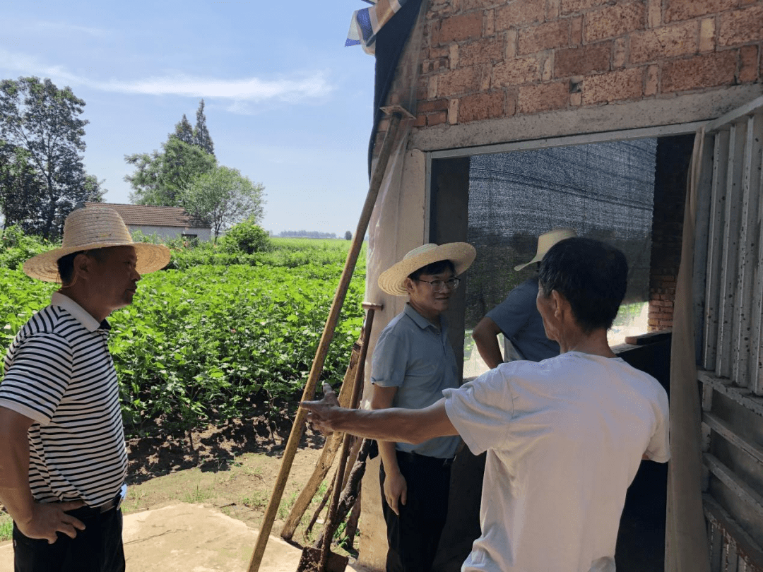 监利上车湾镇跟进监督确保大棚房专项清理整治落地见效