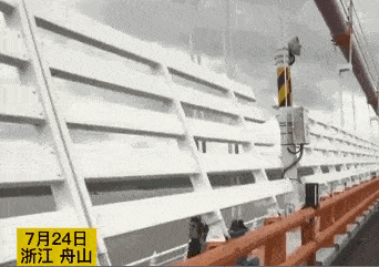 近日 台风