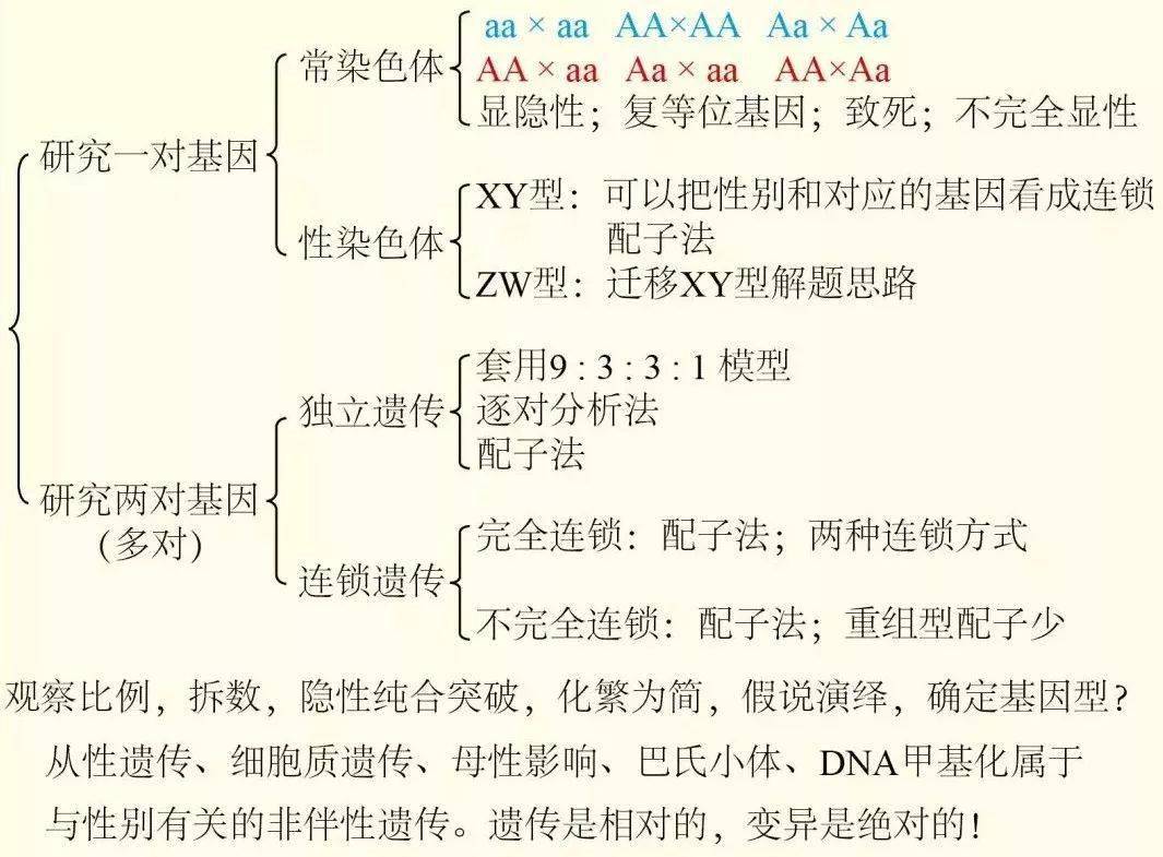 分离定律的异常情况 不完全显性,胚胎致死,配子致死,复等位基因,从性