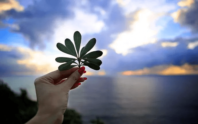 心情好,什么都好, 心情不好,一切都乱了.