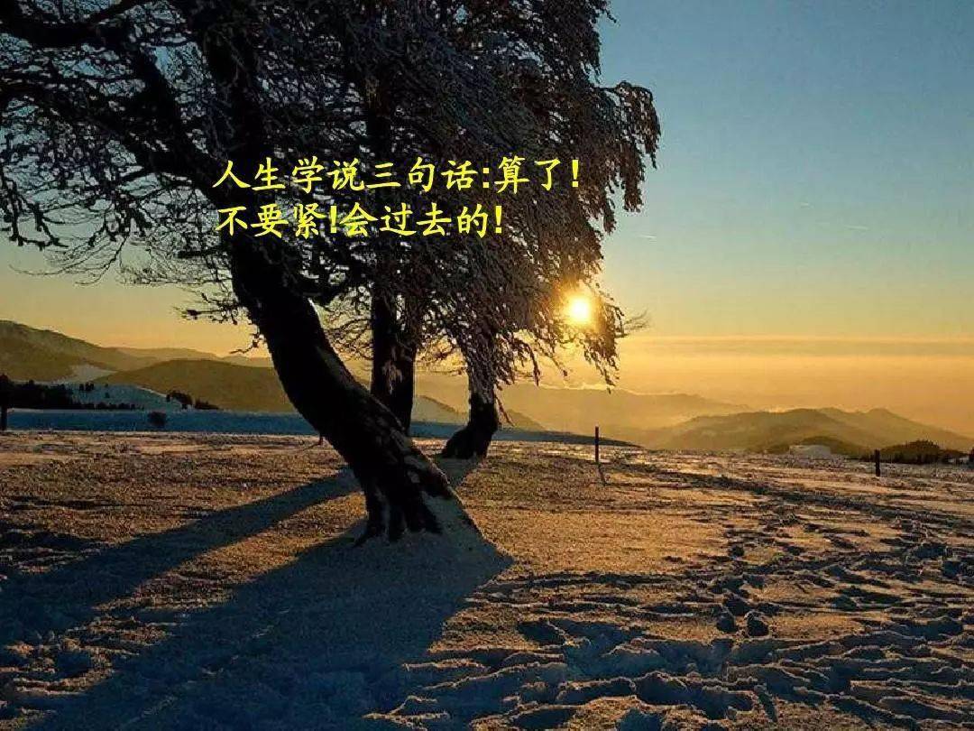 发朋友圈最火的人生哲理短句,句句治愈心灵!