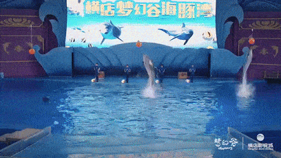 【梦幻横店】与奥特曼一起嬉水潮玩,打卡热门影视剧经典名场面!